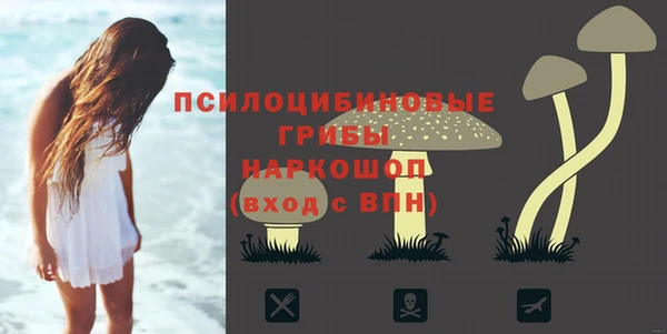 метадон Алзамай