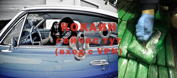 герыч Новозыбков