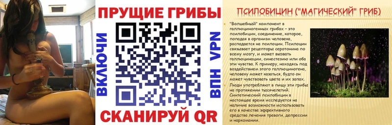 Галлюциногенные грибы MAGIC MUSHROOMS  Лахденпохья 
